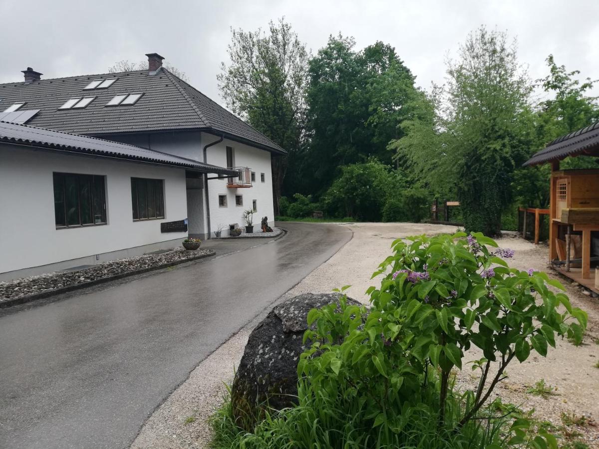 Hoamatleuchten Pettenbach Exteriér fotografie
